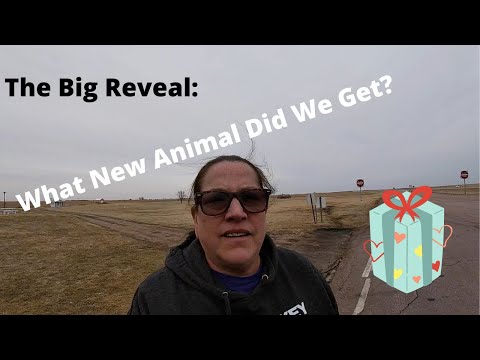WHAT DID WE GET? THE BIG REVEAL!