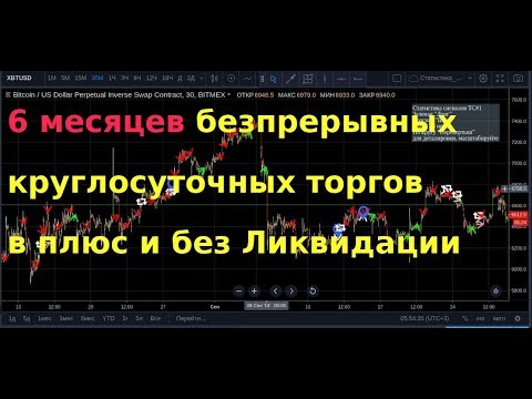 6 месяцев беспрерывных торгов в плюс