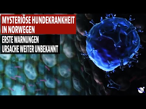 Mysterious dog disease in Norway - First warnings - Cause still unknown