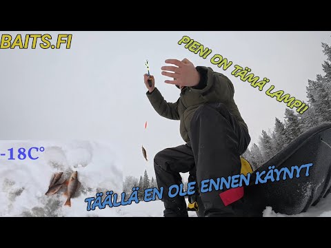 Pakkanen paukkuu, mutta syökö kala?#pilkkiminen#ahven#talvikalastus#made#morri