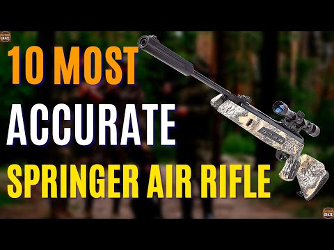 Top 10 Most Accurate Springer Air Rifle 2024 ( Best Air Rifle For Hunting)