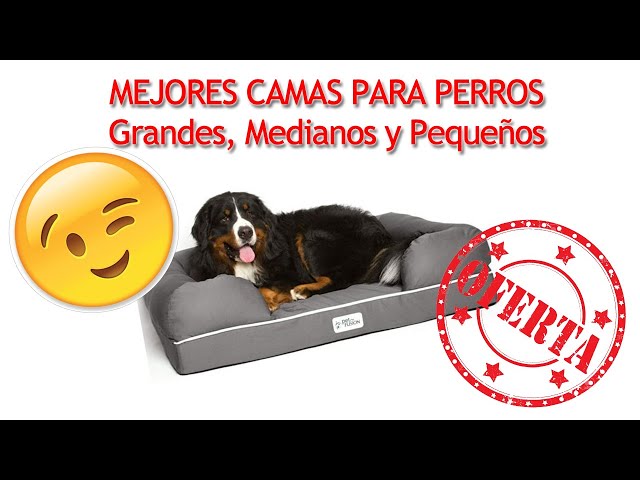 Vídeo relacionado con PESK Cama Perro Pequeño 57x47x15cm con Hueso de Juguete, Acolchada Relleno de Fibras, Cama Perros Medianos Lavable, Resistente Mordeduras, Camas Perros Medianos Antideslizante, Dog Bed (Beige Talla S)