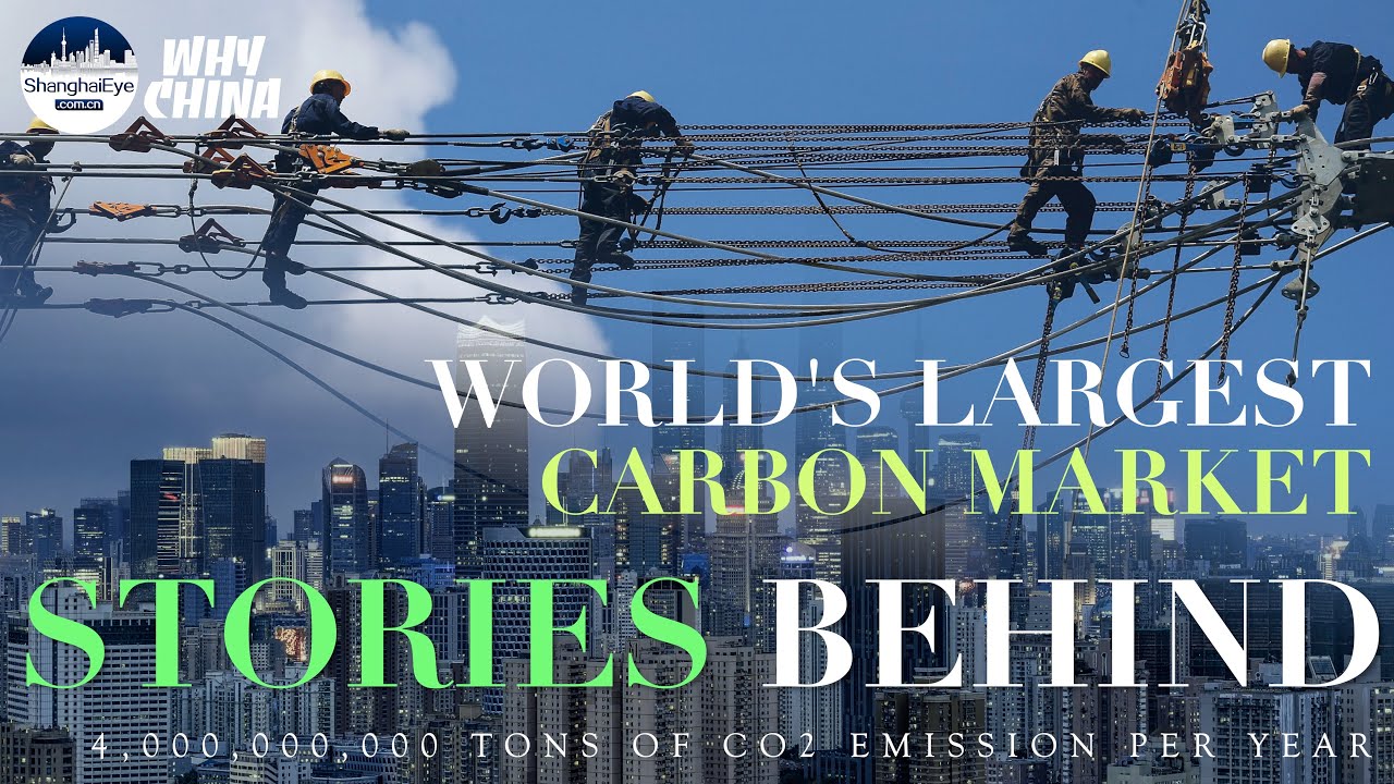 Stories behind the world's largest carbon market