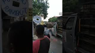 Download lagu mobil ayam potong story'wa mp3
