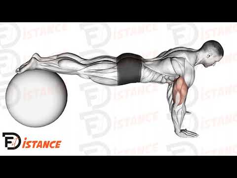 Exercice Pompes déclinés pieds sur ballon (Swiss Ball)
