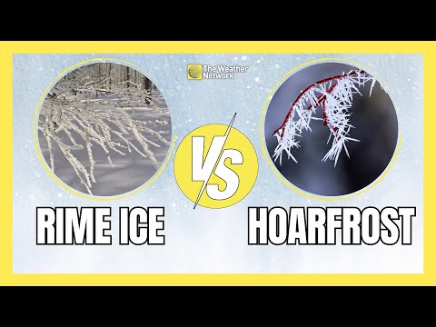 Rime Ice vs. Hoarfrost: Winter’s Glittering Wonders Explained
