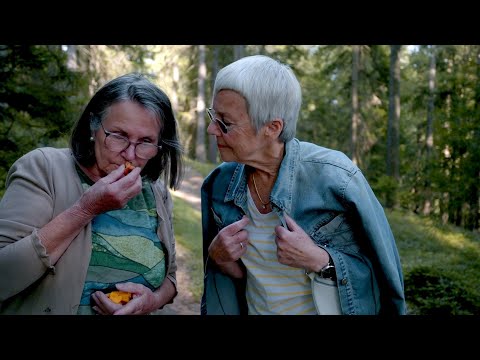 Video-Thumbnail von YouTube