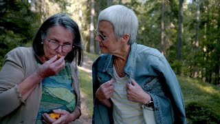 Video-Thumbnail von YouTube