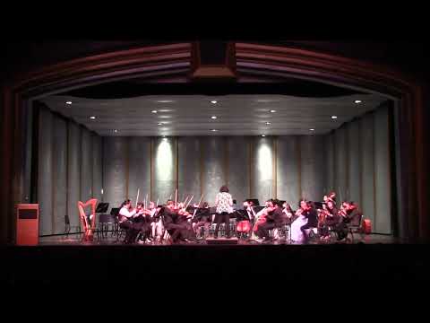 Serenade for Strings by P.I.Tchaikovsky arr. by Richard Meyer