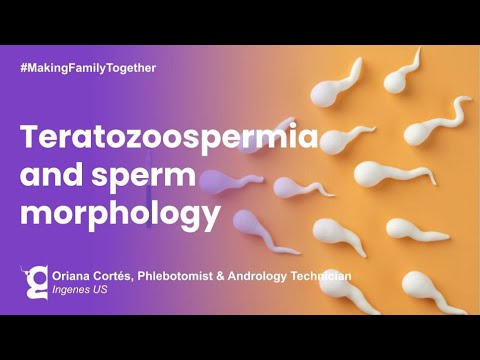 What is teratozoospermia? | Ingenes