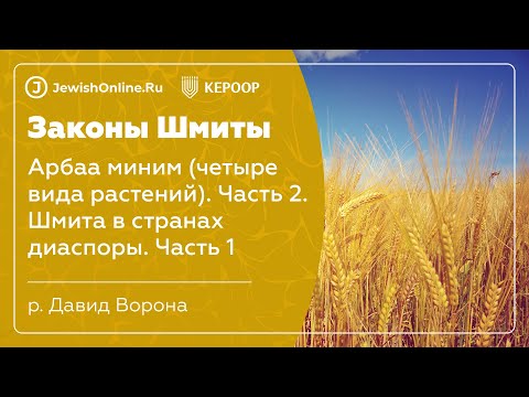Законы шмиты. Урок 24. Арбаа миним (четыре вида). Часть 2. Шмита в странах диаспоры