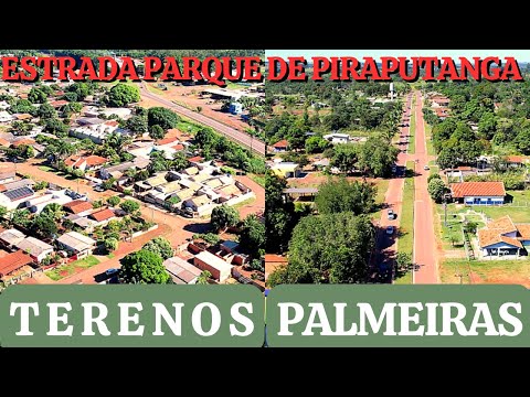 INDUBRASIL, TERENOS E PALMEIRAS - ESTRADA PARQUE DE PIRAPUTANGA - Mato Grosso do Sul