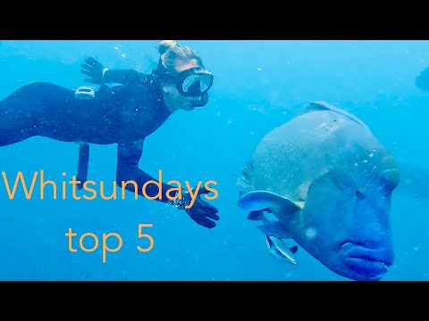 Sailing Whitsundays TOP 5 spots