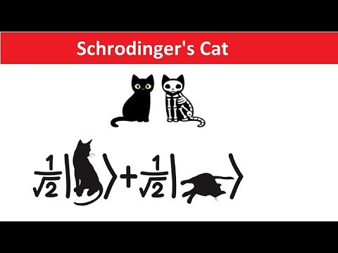 Schrodinger's Cat Explained in Hindi - Quantum Physics, Many World Theory & Reality