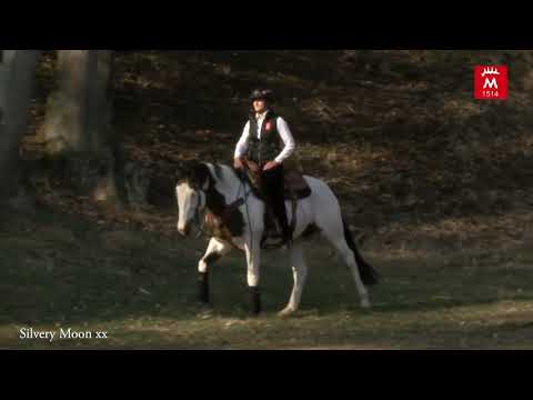 Silvery Moon xx *2011 v. I was Framed xx-Alzao xx