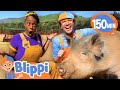 Blippi And Meekah Feed BIG And SMALL Animal Friends Blippi Educational Videos For Kids