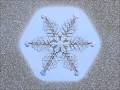 Birth of a Snow Crystal