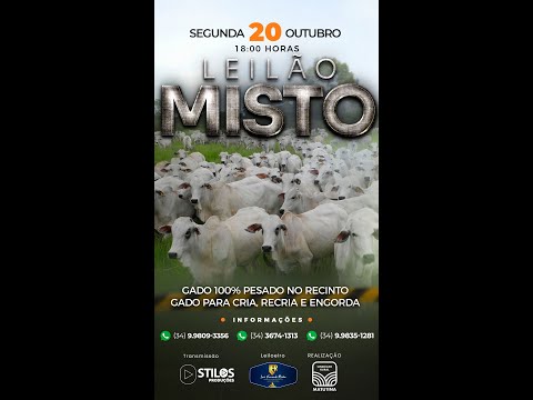 LEILÃO MISTO - SINDICATO RURAL DE MATUTINA-MG