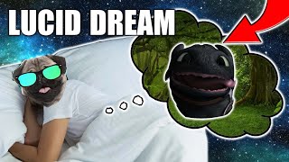 I Talked To My Own Self-Conscious - Lucid Dream Report (Real) - Story Time