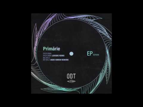Primarie - Proforma (Loxique Remix)