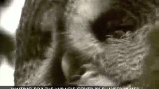 Shayfer James - Waiting For The Miracle Cover (Leonard Cohen)