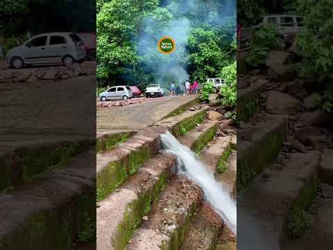 Parque nacional Chorro El Indio. Exuberante vegetación. Al fondo vista de San Cristóbal. Tachira🇻🇪