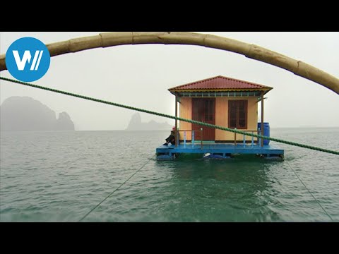The floating villages of Ha Long Bay (360° - GEO Reportage)