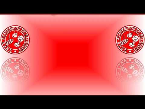 Salgueiro 1993 Ao Vivo