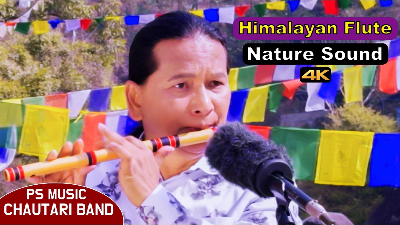 Himalayan Flute Music | Relaxing | Bansuri Dhun | Beautiful Nature Sound | Instrumental Flute Music