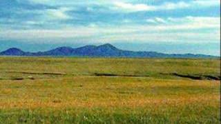 Yellow,Orange, and Brownish Spider