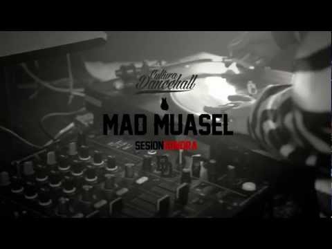Mad Muasel- Sesión Sonora