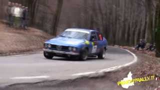 preview picture of video 'Rally Laghi 2013 HD - PiemontRally.it'