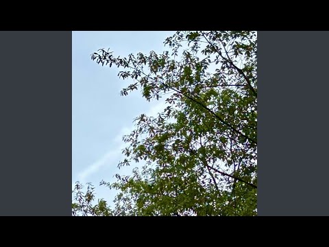 Bariban Akhir Perjalanan Cinta