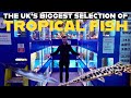 WHARF AQUATICS INSANE TROPICAL FISH HOUSE TOUR