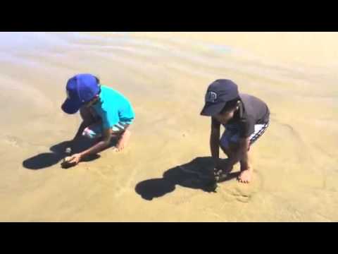 Grover beach - ilu and Milu