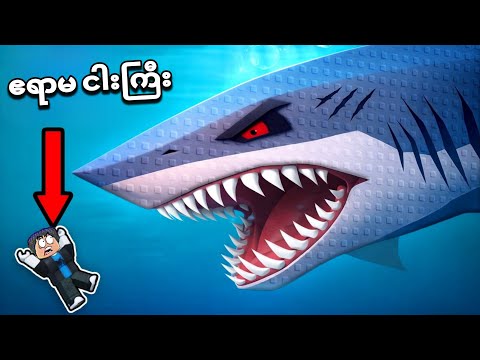 ဧရာမ ငါးကြီး စားတာခံလိုက် ရပြီဗျို့ / be a fish in Roblox 