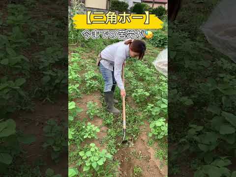 草取りに最適な時期はいつですか?また、雑草のない期間が十分に長く続くことが重要ですか?  庭園