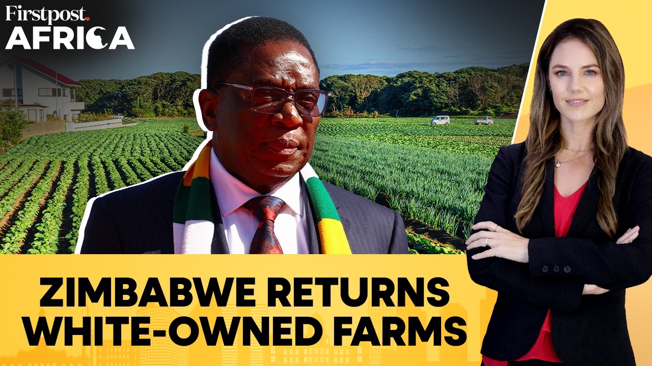 Zimbabwe Returns Farms Seized From European Owners To Push for Debt Relief | Firstpost Africa | N18G