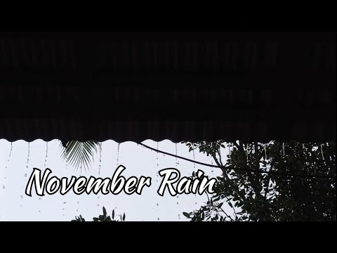 November Rain | Cold November Rain | Cinematic Video