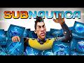 Can An Idiot 100 Subnautica