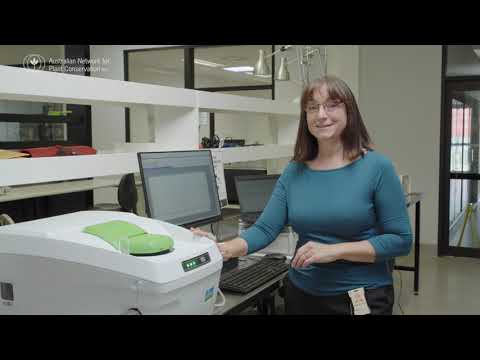 Using differential scanning calorimetry (DSC) to identify freezing-sensitive seeds