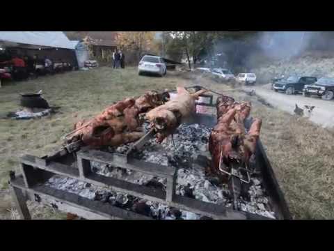 Cumurijada u Tolsinici