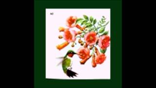 Circulatory System - Inside Views (Full Album)