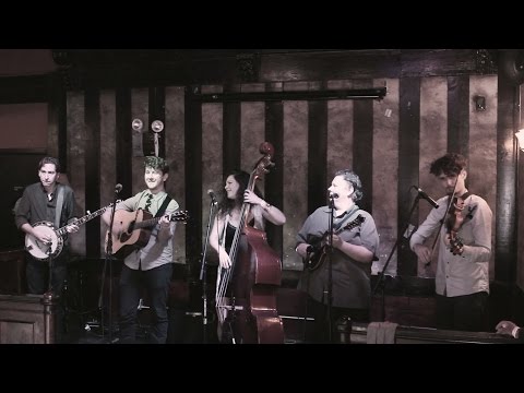 Abby Hollander Band - Too Down to Get Drunk
