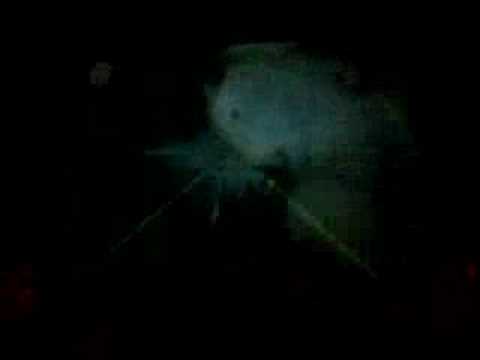 **EvY dancing @ PachaNYC with DJ BORIS**