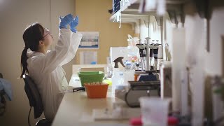 Dermatology Service Line Physician Recruitment Video | Northwell Health