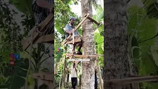 Download lagu Creative! making coconut climbing tools #agriculture #creativetools #gardeningtips #smarttricks #fyi mp3 Download lagu Creative! making coconut climbing tools #agriculture #creativetools #gardeningtips #smarttricks #fyi mp3
