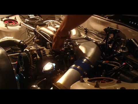 Dave.Rodgers Beat Of The Rising Sun