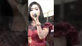 Download lagu ELIS SANTIKA - Kabut biru mp3 Download lagu ELIS SANTIKA - Kabut biru mp3