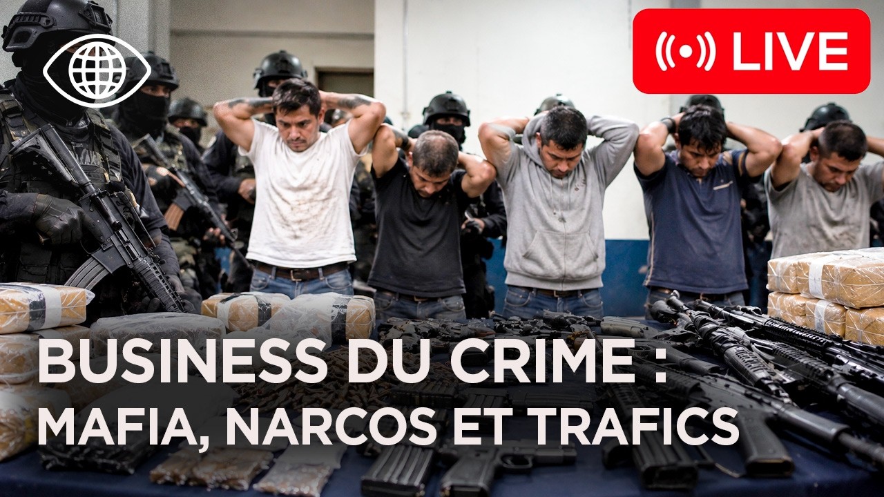 LIVE 24/7- Mafia, Narcos, Pétrole : Le Business Mondial du Crime | Documentaire Monde - KM